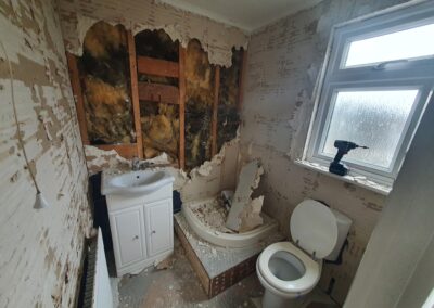 stefan decorating facebook gallery 292(1)