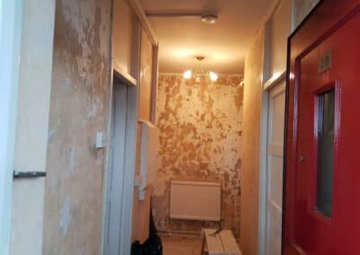 stefan decorating facebook gallery 463(2)