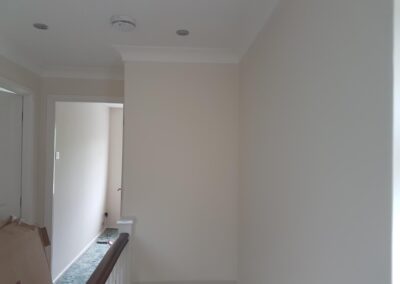 stefan decorating facebook gallery 534(1)